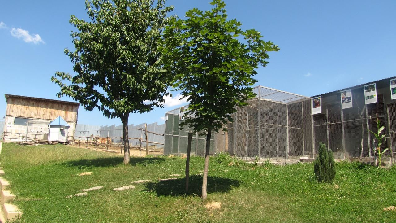 Мини-отель Mini Hotel Leon Лалово-36